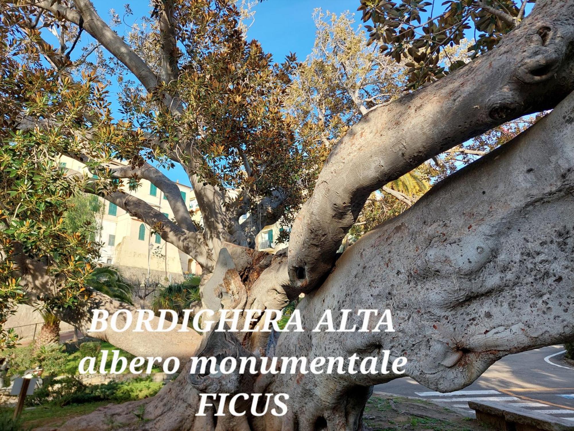 Emozioni Casa Vista Mare Bordighera Exterior foto
