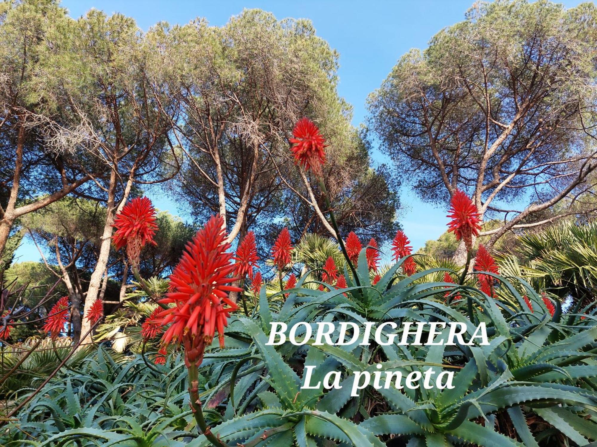 Emozioni Casa Vista Mare Bordighera Exterior foto